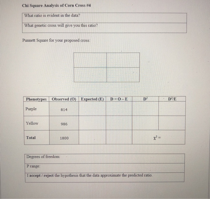 Solved Chi Square Analysis of Corn Cross #4 What ratio is | Chegg.com