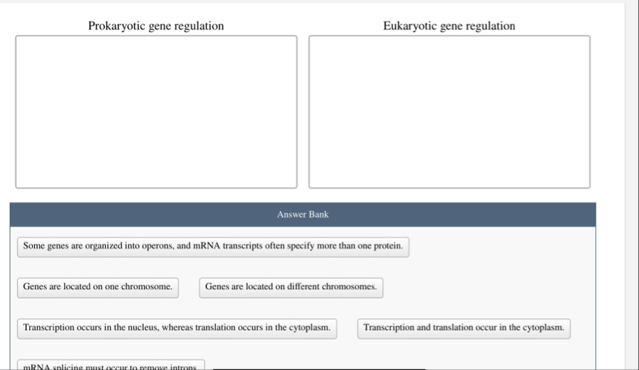 Solved Prokaryotic gene regulationEukaryotic gene | Chegg.com
