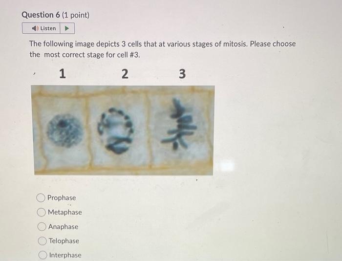 Solved The following image depicts 3 cells that at various | Chegg.com