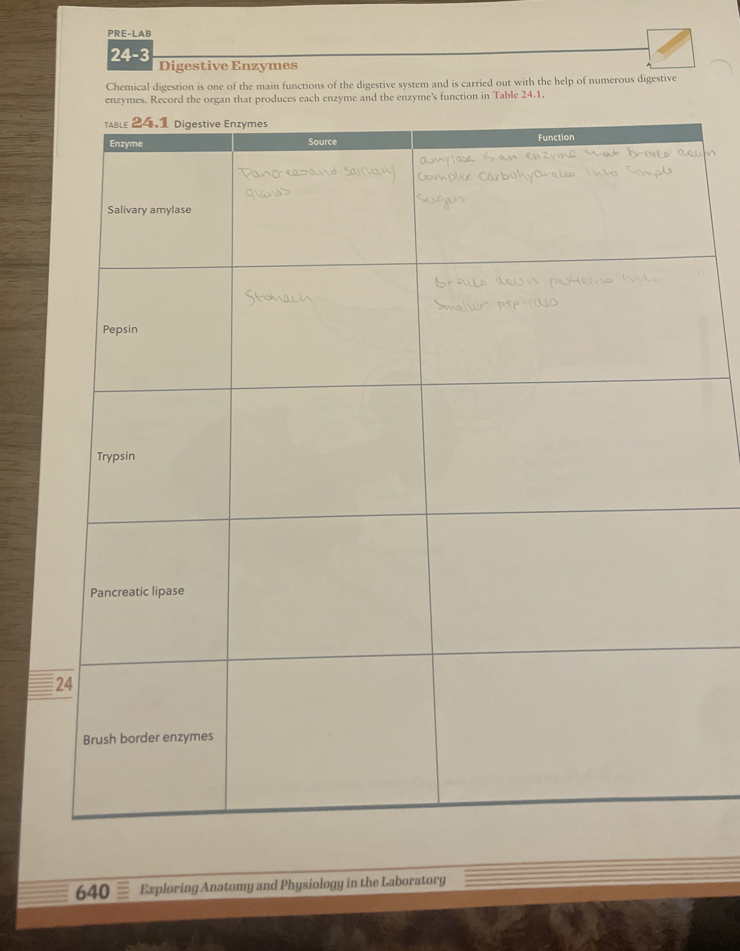Solved PRELAB243Digestive EnzymesChemical digestion is one