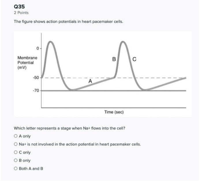 Q35 2. Points The figure shows action potentials in | Chegg.com