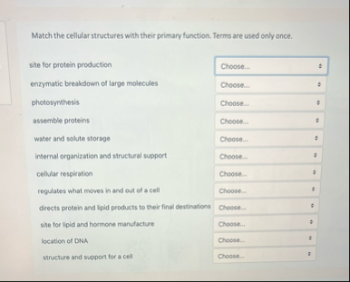 Solved Match the cellular structures with their primary | Chegg.com