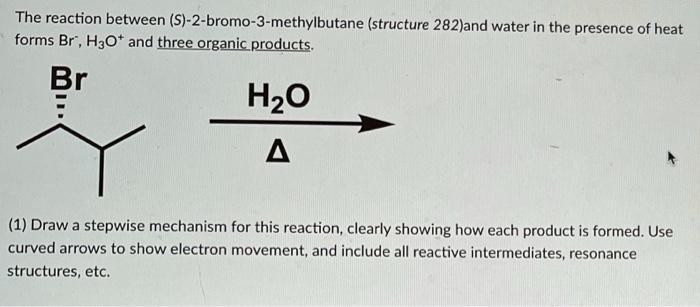 Solved The Reaction Between S 2 Bromo 3 Methylbutane