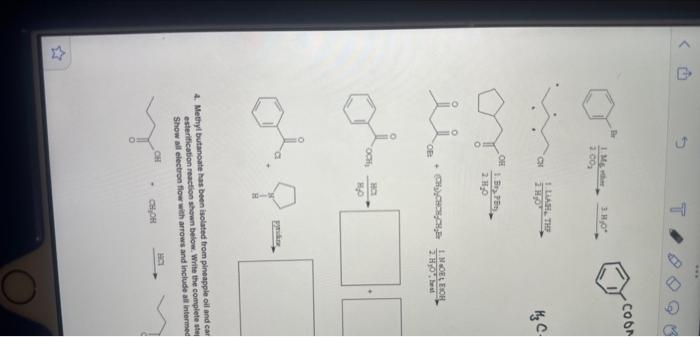 Solved may you please answer all the questions in detailed | Chegg.com