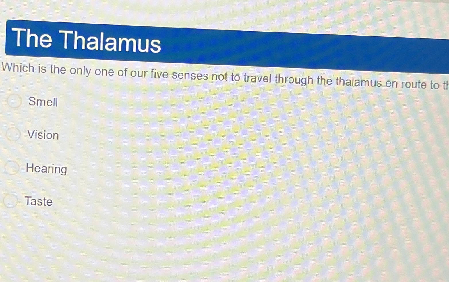 Solved The ThalamusWhich is the only one of our five senses | Chegg.com