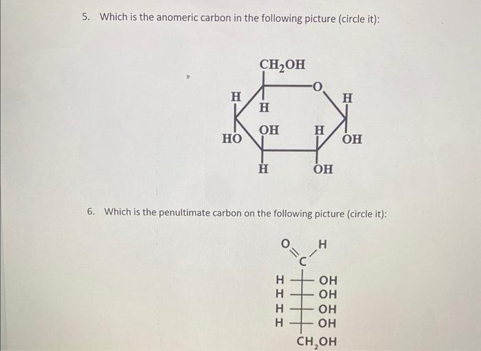 Solved 5. Which is the anomeric carbon in the following | Chegg.com