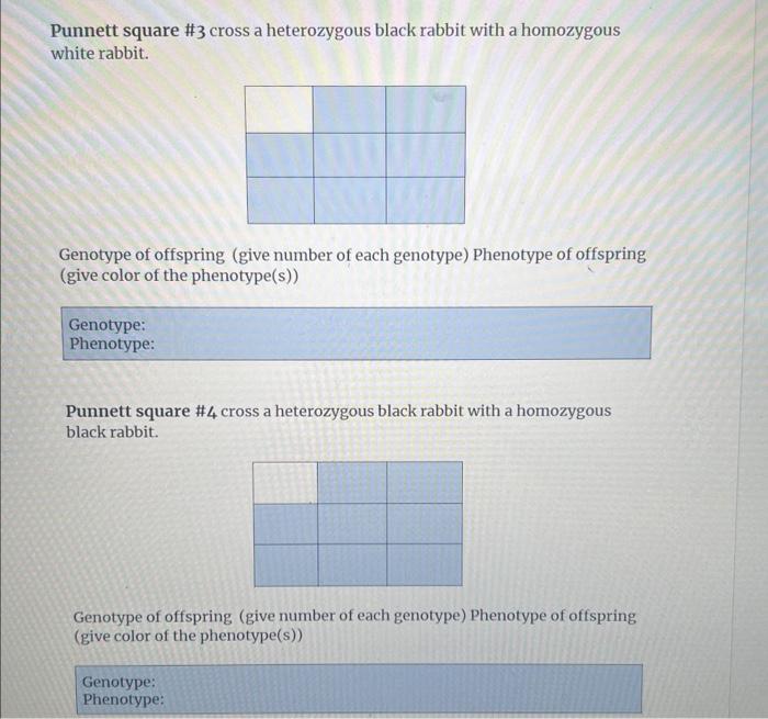 Solved Complete The Following Punnett Squares Please Note Chegg Com