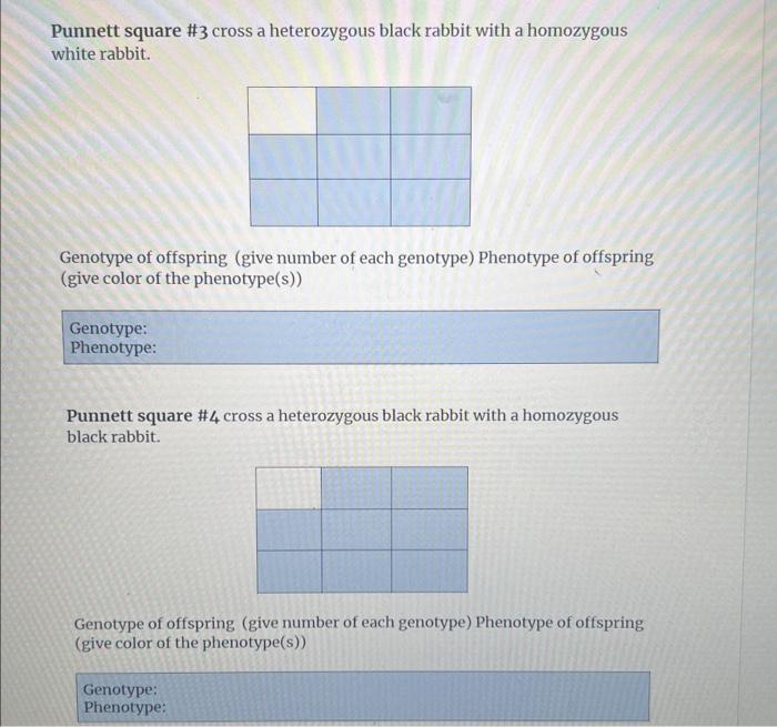 Solved Complete the following Punnett squares. Please note: | Chegg.com