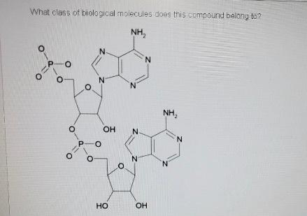 Solved What class of biological molecules does this compound | Chegg.com