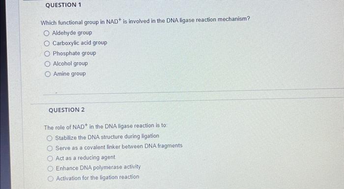 solved-which-functional-group-in-nad-is-involved-in-the-dna-chegg