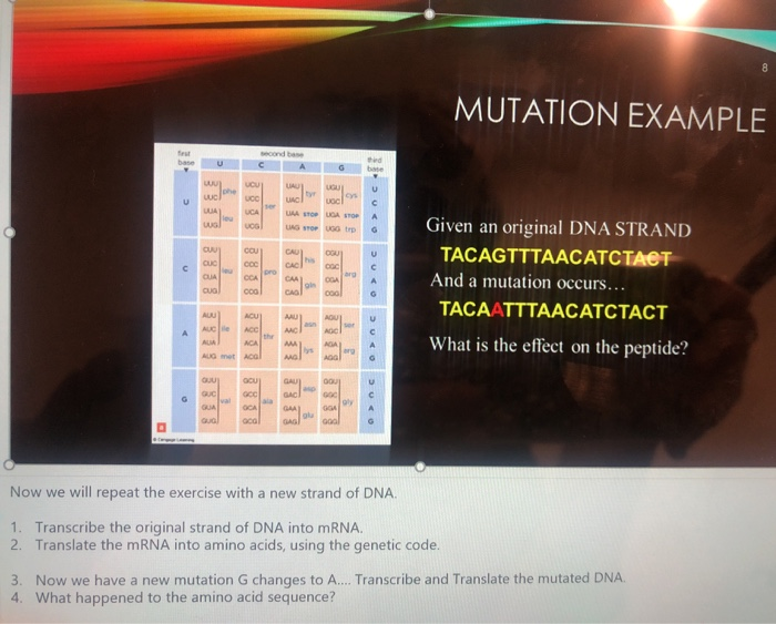 Solved 'MUTATION EXAMPLE OOCOO OOC Oc Given an original | Chegg.com
