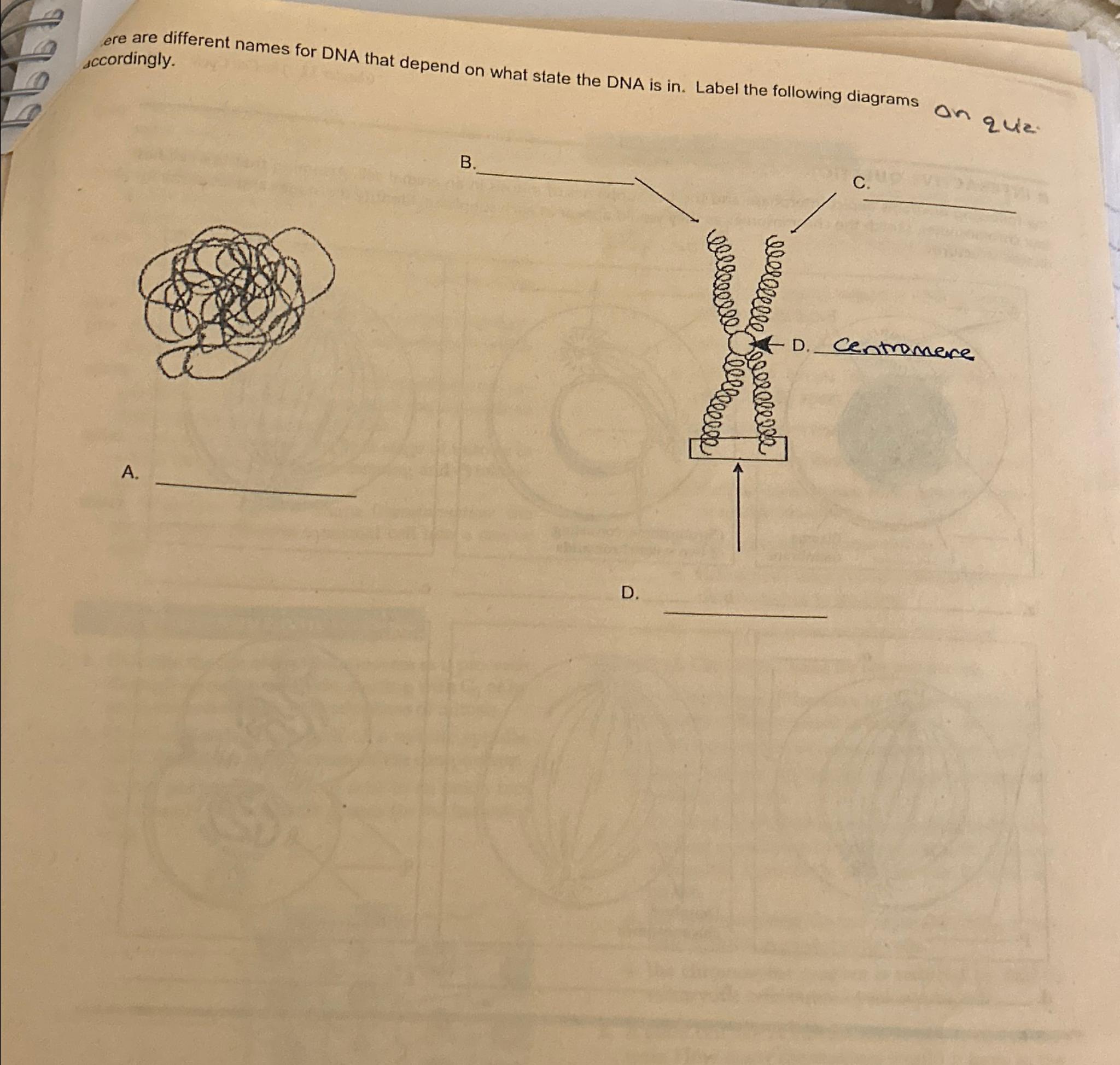 Solved Please Label Diagrams Thanks! | Chegg.com