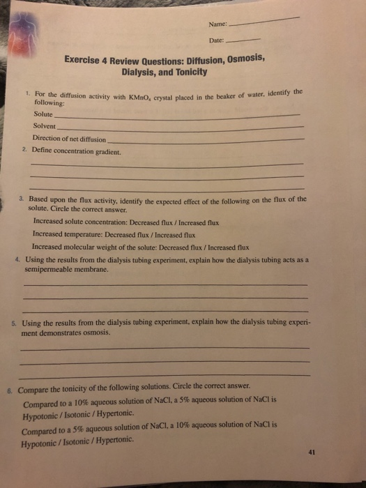 Solved Name: Date: Exercise 4 Review Questions: Diffusion, | Chegg.com
