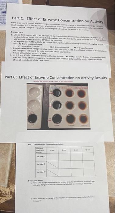 Solved Part C: Effect of Enzyme Concentration on Activity | Chegg.com