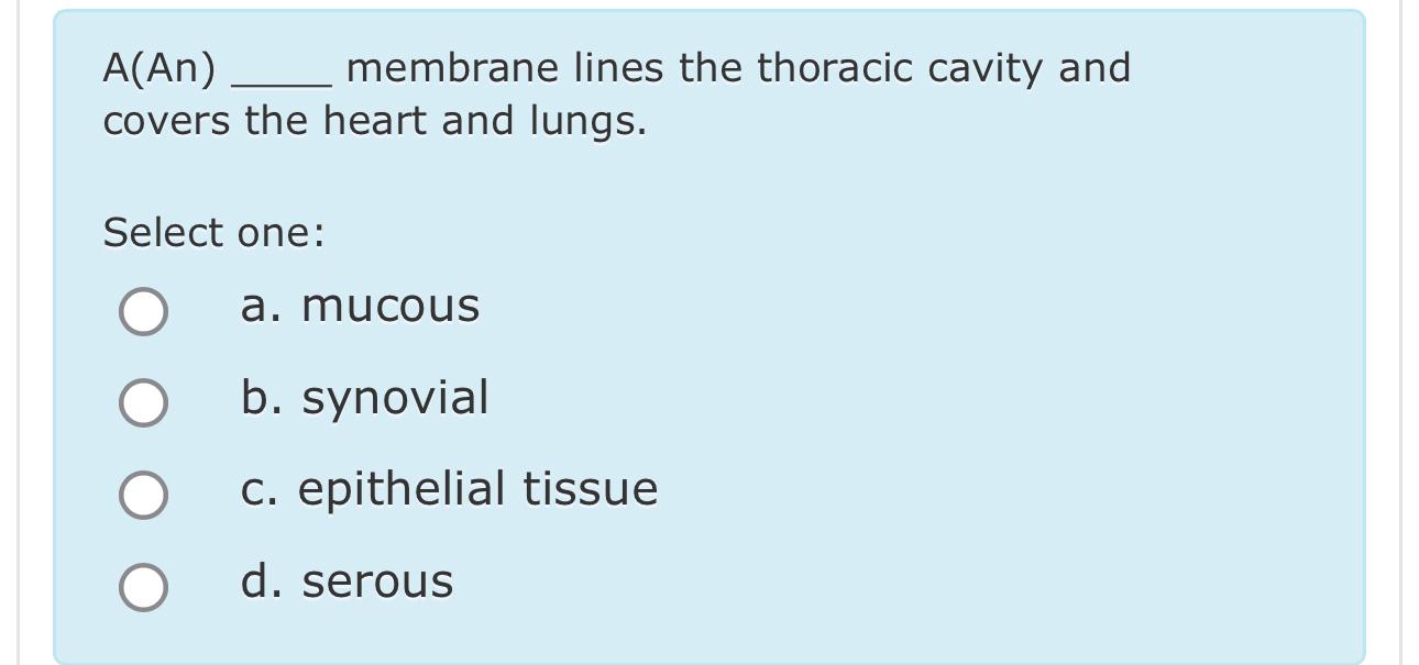 Solved A(An) ﻿membrane lines the thoracic cavity and covers | Chegg.com ...