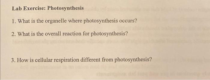 Solved 1 What Is The Organelle Where Photosynthesis Occurs Chegg Com   Image