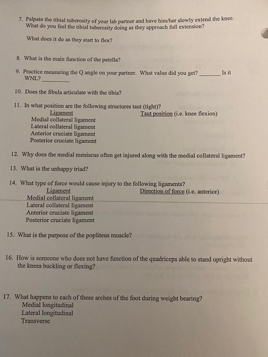 7. Palpate the tibial tuberosity of your lab partner | Chegg.com