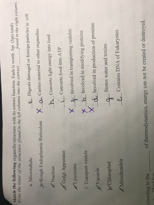 Solved Match the following organelle/structure with its | Chegg.com