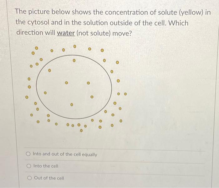 Solved The picture below shows the concentration of solute | Chegg.com