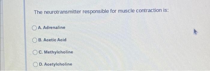 Solved The skeleton is controlled by the muscular system. | Chegg.com