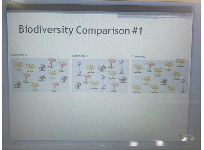 Solved Biodiversity Comparison #1 Community A Community B | Chegg.com