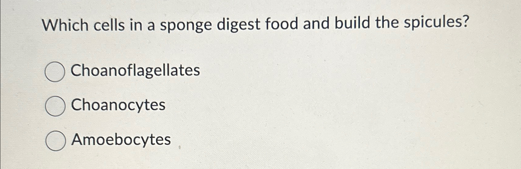 Solved Which cells in a sponge digest food and build the