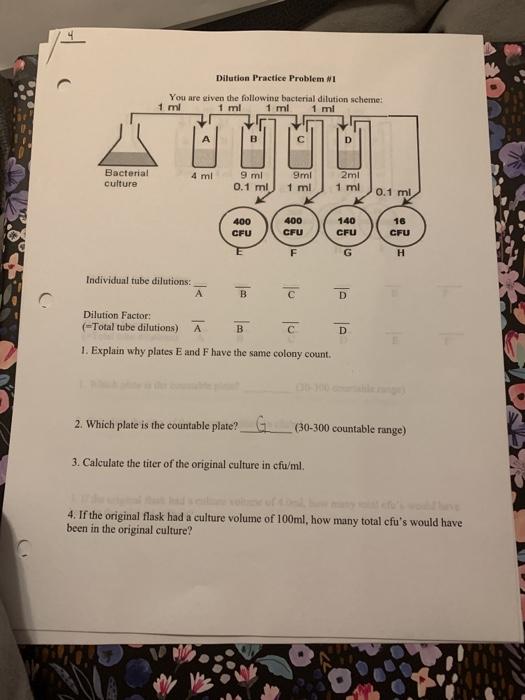 Solved Dilution Practice Problem MI You are given the