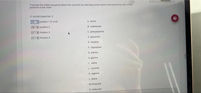 Solved Translate the mRNA sequence below into a protein by | Chegg.com
