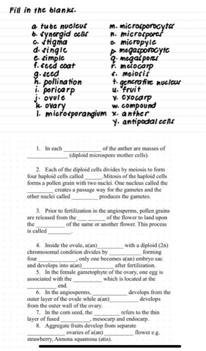 Fill In The Blanks A Tube Nucleus M Microsporocy Chegg Com