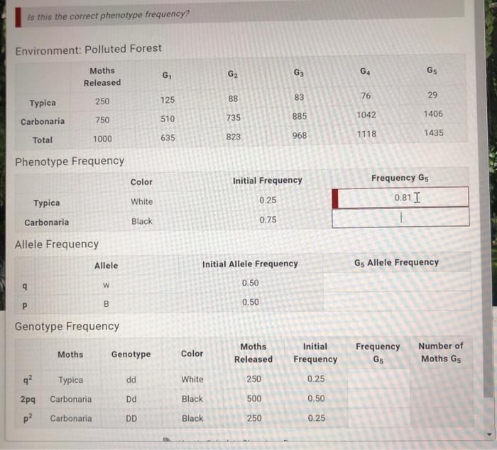 Solved Х Lab Data Environment Clean Forest Moths Released G