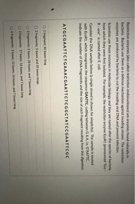 Solved Which of the following statements about DNA structure | Chegg.com