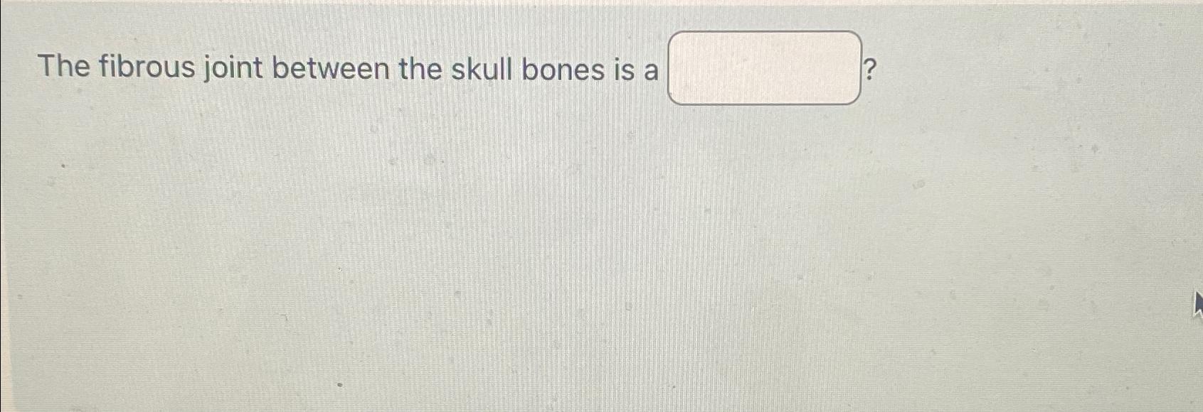 fibrous joint between bones of the skull