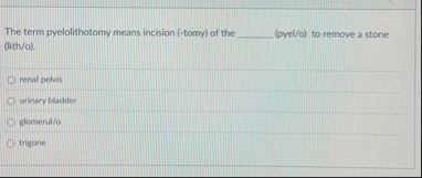 Solved The term pyelolithotomy means incision (-tomy) ﻿of | Chegg.com
