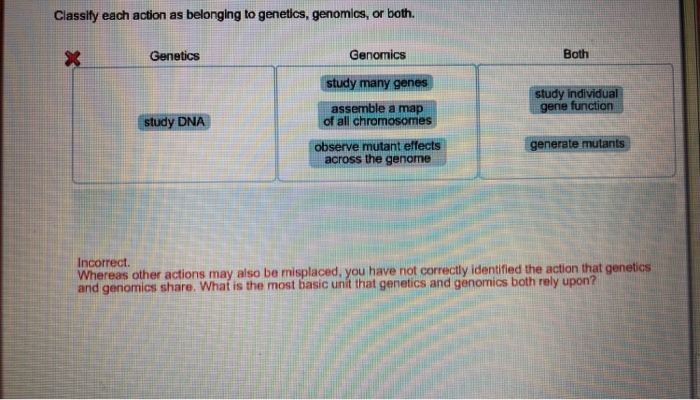 Solved Classify each action as belonging to genetics, | Chegg.com