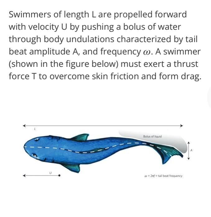 Solved Swimmers of length L are propelled forward with | Chegg.com
