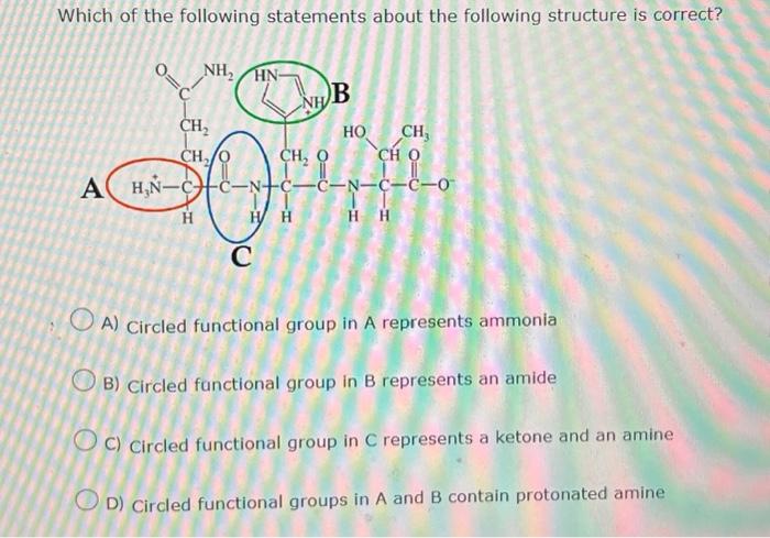 Solved Which of the following statements about the following | Chegg.com