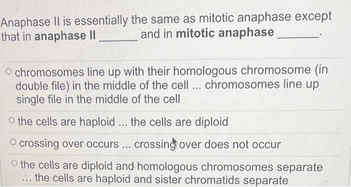 Anaphase II is essentially the same as mitotic anaphase except that in anaphase II and in mitotic anaphase
chromosomes line u