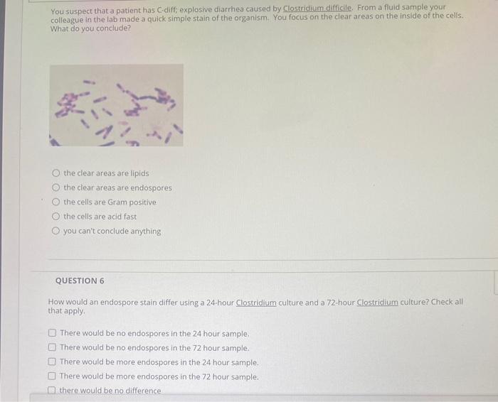 Solved You suspect that a patient has C-diff, explosive | Chegg.com