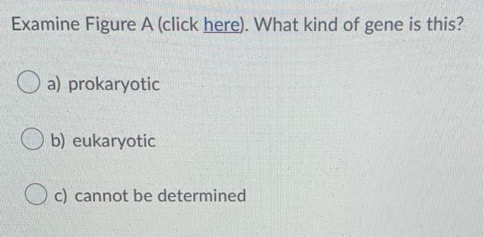 Solved Examine Figure A (click here). What kind of gene is | Chegg.com