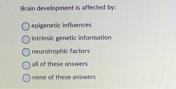 Solved Brain Development Is Affected By: Epigenetic | Chegg.com