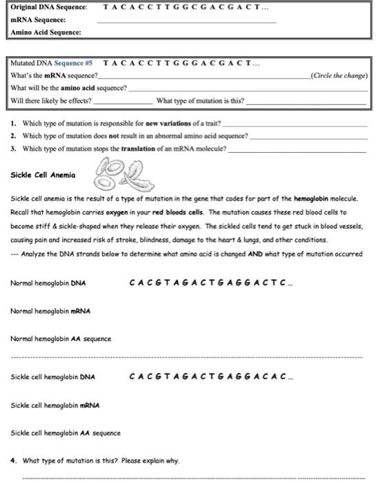 Solved Mutations Worksheet - Deletion, Insertion & | Chegg.com