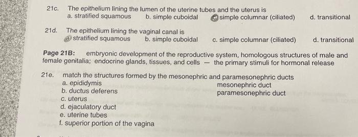 Solved 21c. The epithelium lining the lumen of the uterine | Chegg.com