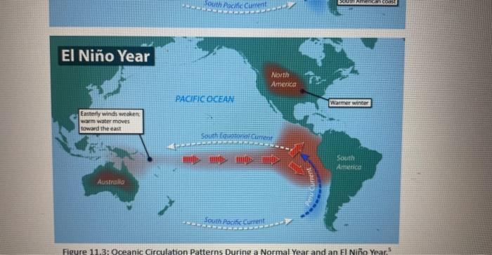 Solved Mapping El Niño Circulation Patterns Figure 11.6 | Chegg.com