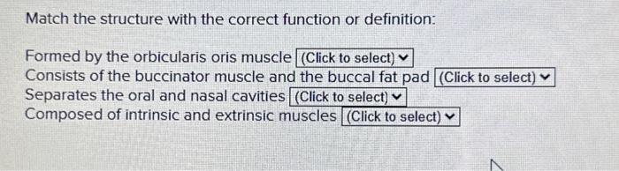 Solved Match the structure with the correct function or Chegg