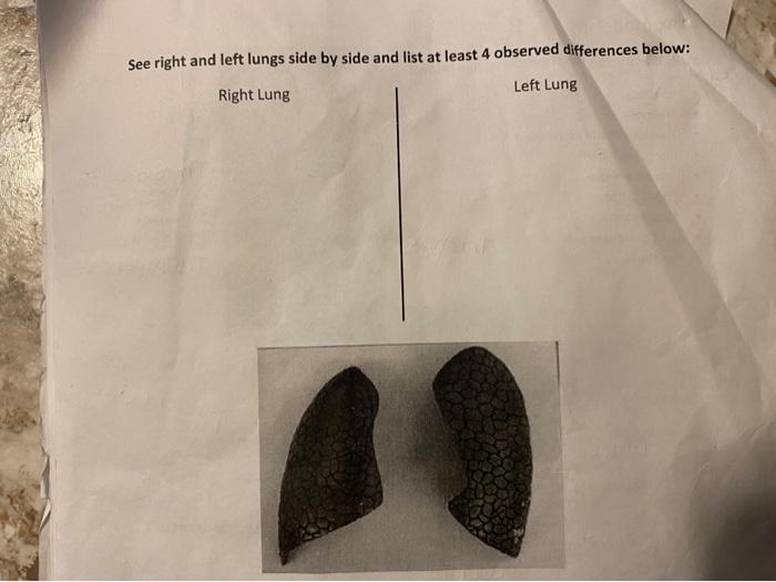 Solved list at least 4 differences between the left and the | Chegg.com