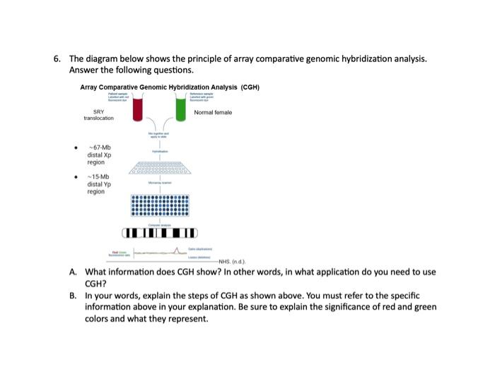 The diagram below shows the principle of array comparative genomic hybridization analysis. Answer the following questions.

A