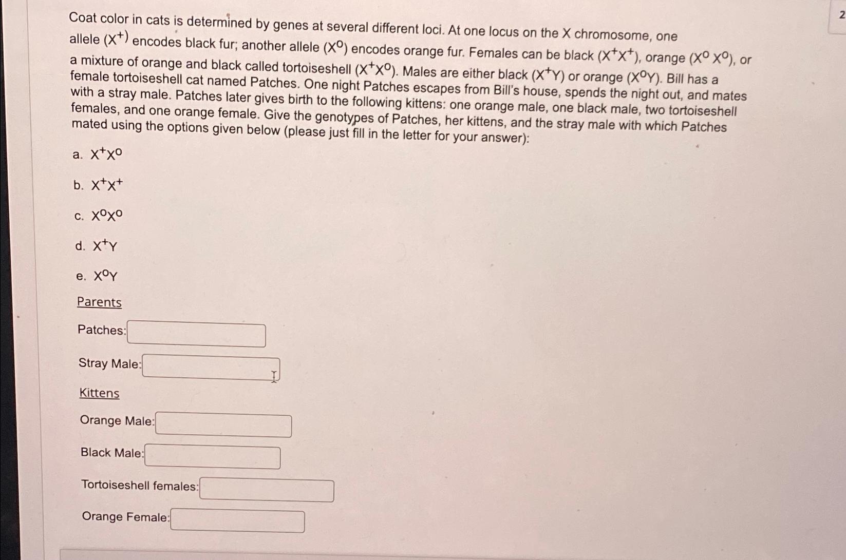 Solved Coat color in cats is determined by genes at several