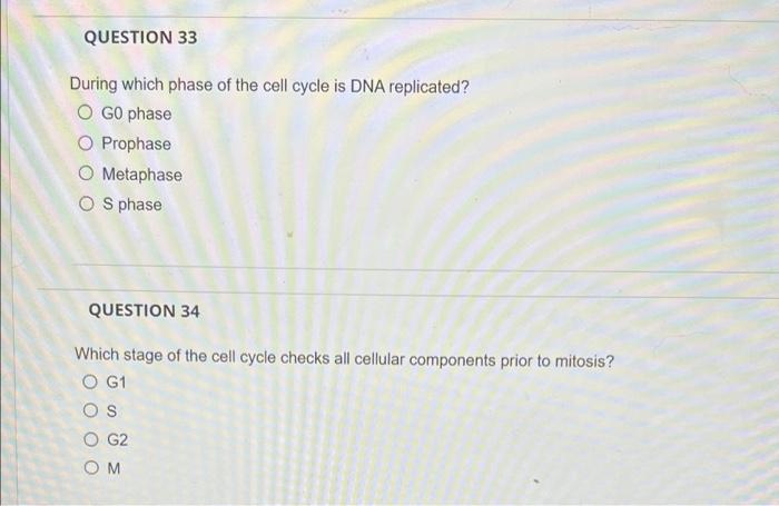 Solved QUESTION 33 During which phase of the cell cycle is | Chegg.com