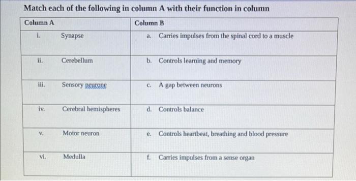 Solved Match each of the following in column A with their | Chegg.com