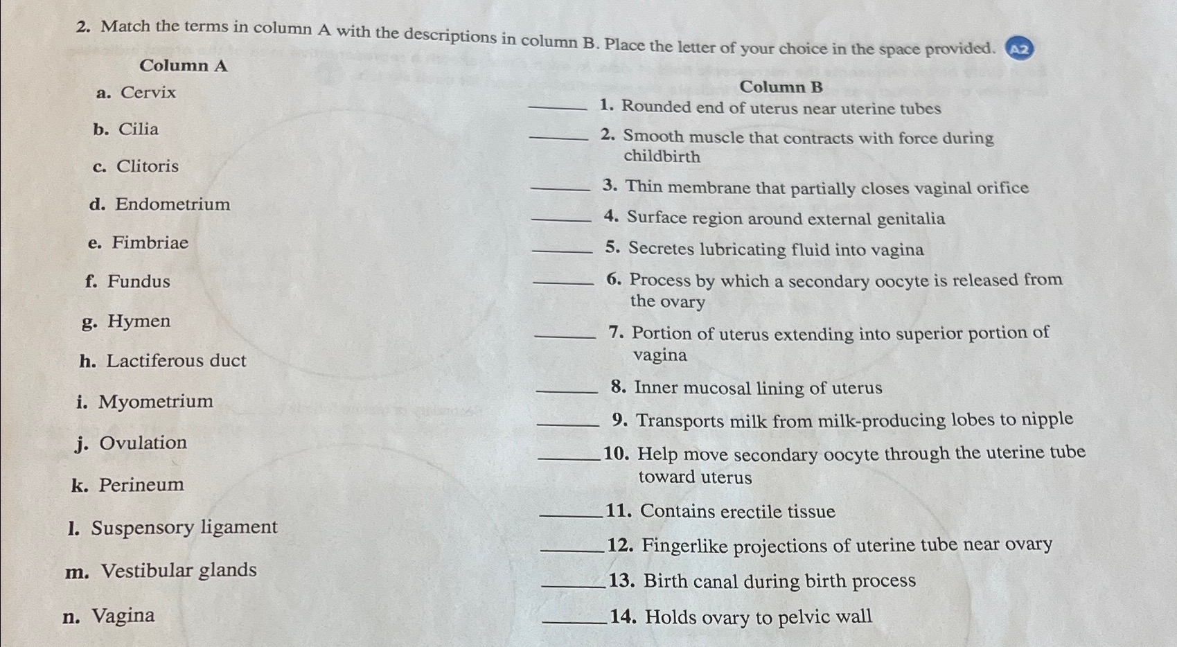 Solved Match the terms in column A with the descriptions in | Chegg.com